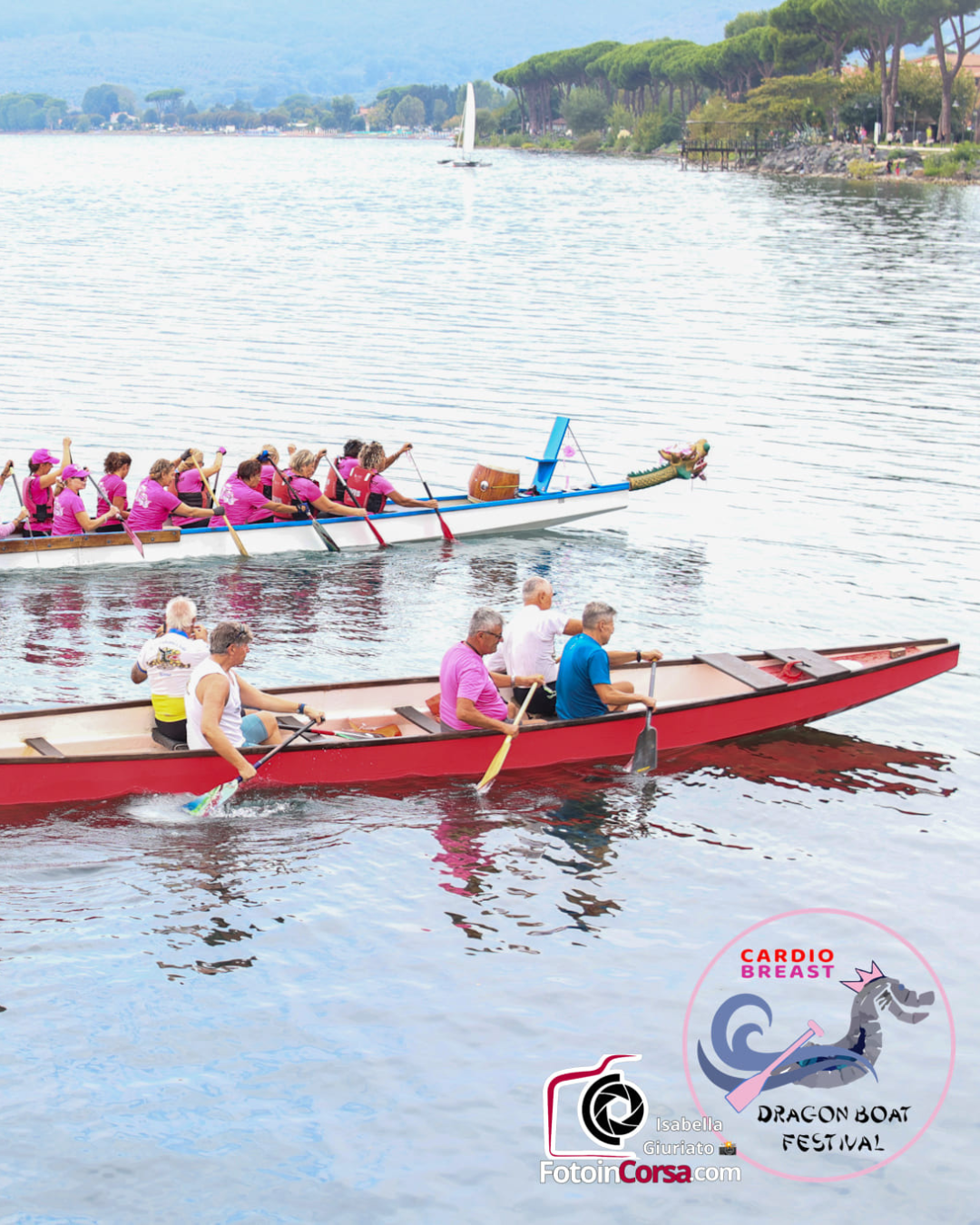 Immagine di Cardio-Breast Dragon Boat Festival